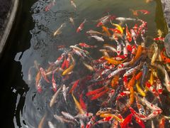 -镇江中国醋文化博物馆