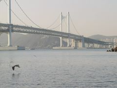 -广安大桥