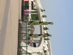 iphone_upload_pic-石家庄市植物园
