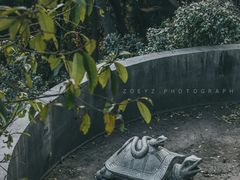 -广州市白云山风景名胜区