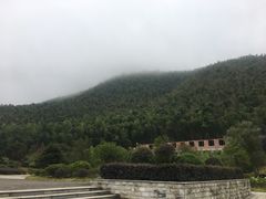 -蔡伦竹海
