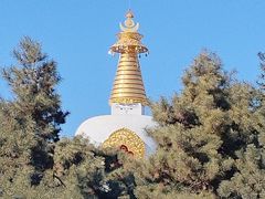 -护国法轮寺