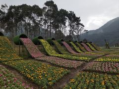 -广州市石门国家森林公园
