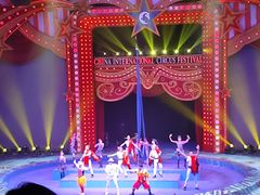 -珠海横琴长隆《卡卡虎奇遇记》