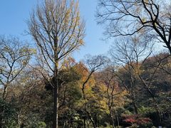 -南山风景名胜区