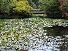 -北海道厅旧本厅舍(旧本庁舎)