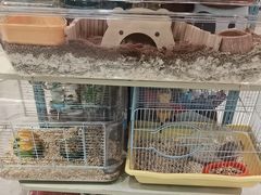 -FAELING PETS美天灵宠物(合生汇店)