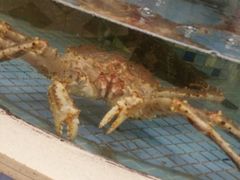 -悦来酒家·正宗闽南菜(西街店)