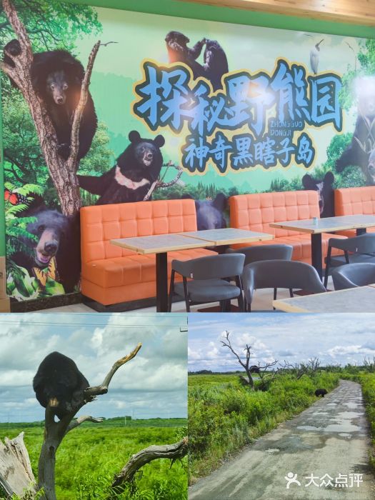 黑瞎子岛探秘野熊园图片