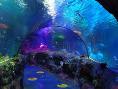 -沈阳海洋探索中心