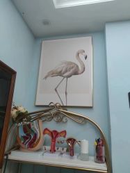 -新美妈倍丽美无痛催乳专业产后恢复塑形机构(壆岗店)