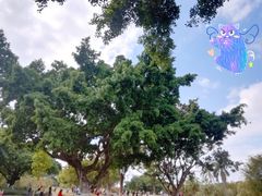 -东莞植物园