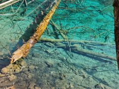 -乡土特色.冷锅鱼.牦牛肉汤锅