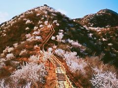 -大岭沟猕猴桃谷风景区