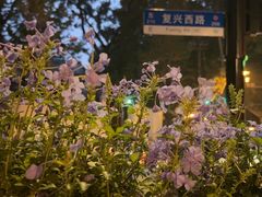 -夏朵花园(复兴西路店)