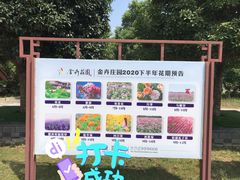 -金卉庄园