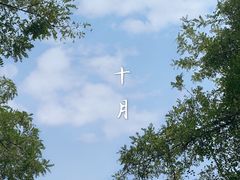 -永定河休闲森林公园