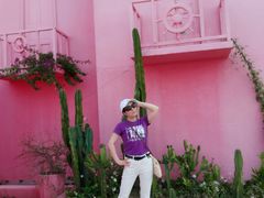 -北海金海湾红树林生态旅游区