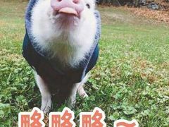 -UME影城(西城广场店)