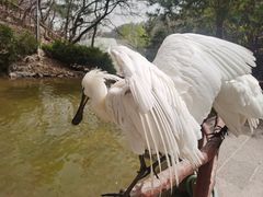 -大连老虎滩海洋公园