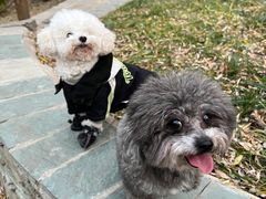 -三忘湖 SWANSEEN(柳荫公园店)