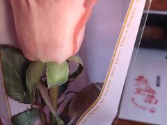 -热血兄弟·炭火烤肉(融侨中心店)