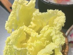 -季季山·云南野生菌火锅(上海首店)