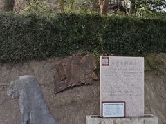 -上海佘山国家森林公园西佘山园