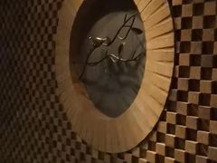 -Dragonfly悠庭·按摩Spa(静安嘉里中心店)