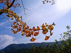 -北京十三陵国家森林公园蟒山景区