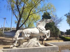 -莲花池公园