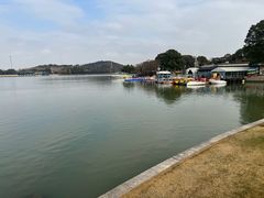 -上海月湖雕塑公园
