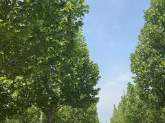 -颐和园西门停车场