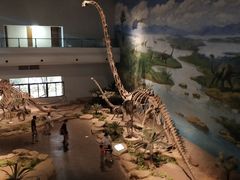 -自贡恐龙博物馆