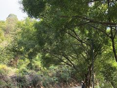 -大雁山风景区