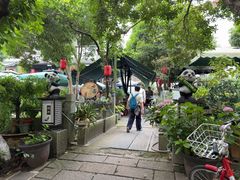 -阿巧茶庄