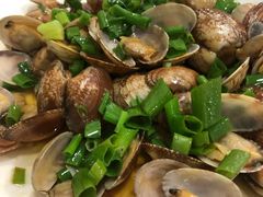 葱油炒花蛤-红灯笼龙凤饭店(宁波老字号店)