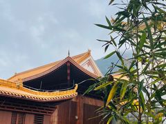 -深圳仙湖植物园