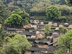 -杨家堂村