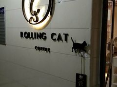 -滚猫咖啡·猫咖·猫友好撸猫(未来城店)