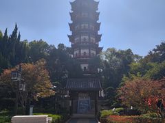 -绳金塔