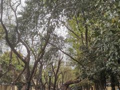-颐和路民国时期公馆风貌区