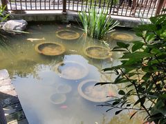 -聚缘堂·海鲜私房菜(松岭路店)
