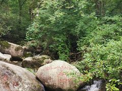 -洛阳白云山景区