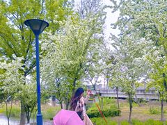 -长广溪湿地公园