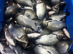 -南京金牛湖风景区