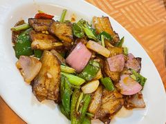 酱爆回锅肉-新城餐厅(吉祥北街店)
