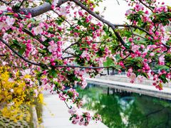 -海棠花溪(元大都城垣遗址公园)