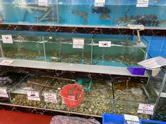 水产区-源海渔村·现捞海鲜(大角湾店)