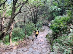 -阳台山自然风景区
